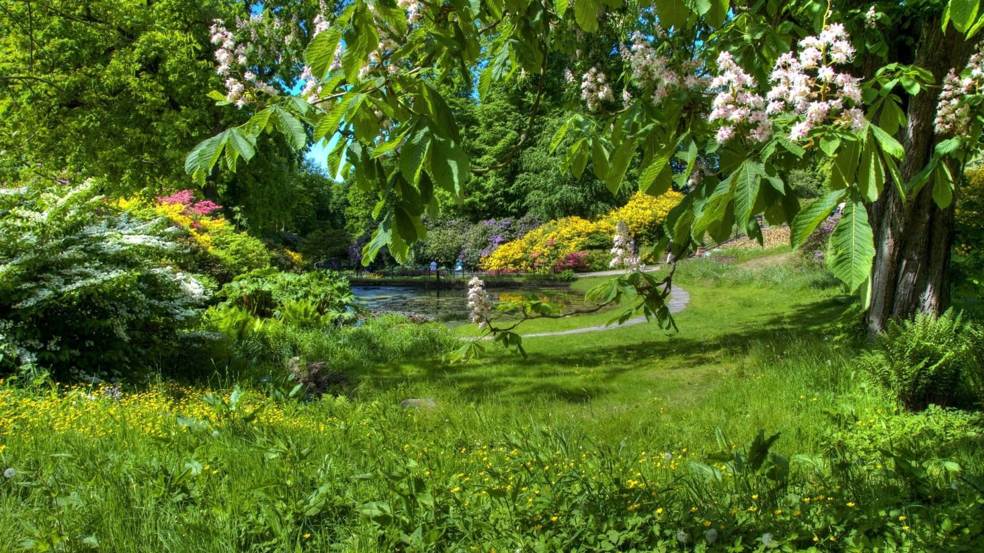 A Vibrant Spring Garden in Full Bloom Wallpaper
