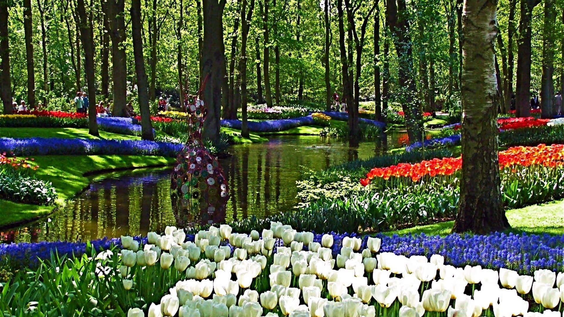Vibrant Spring Garden in Full Bloom Wallpaper