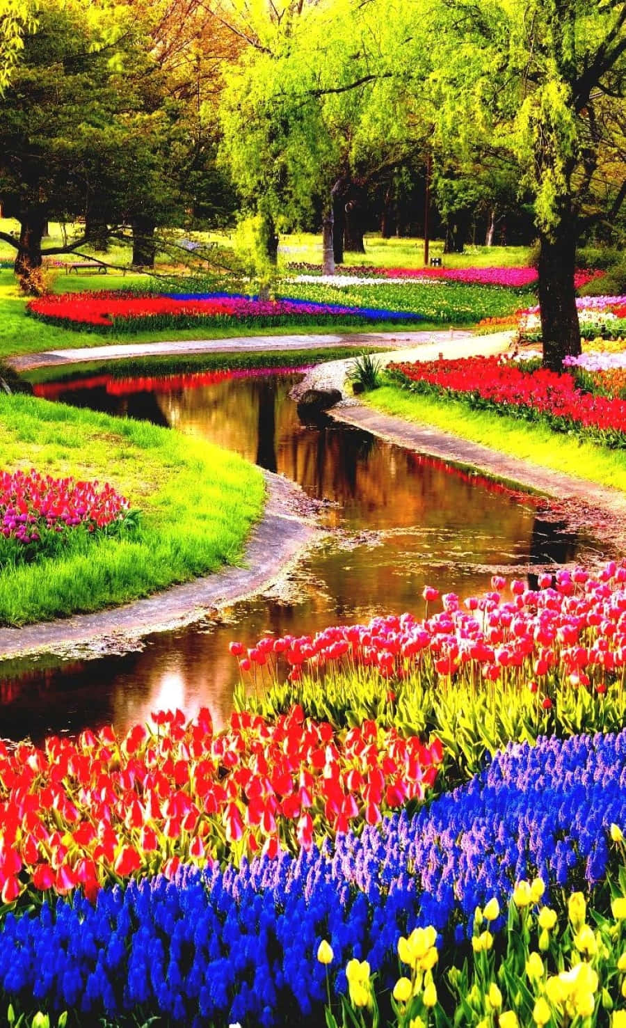 Download Blossoming Spring Garden Wallpaper | Wallpapers.com