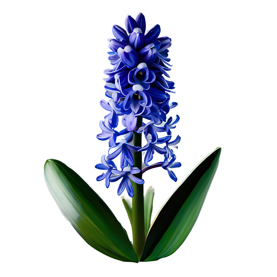 Spring Hyacinth Flower Png Wfp34 PNG