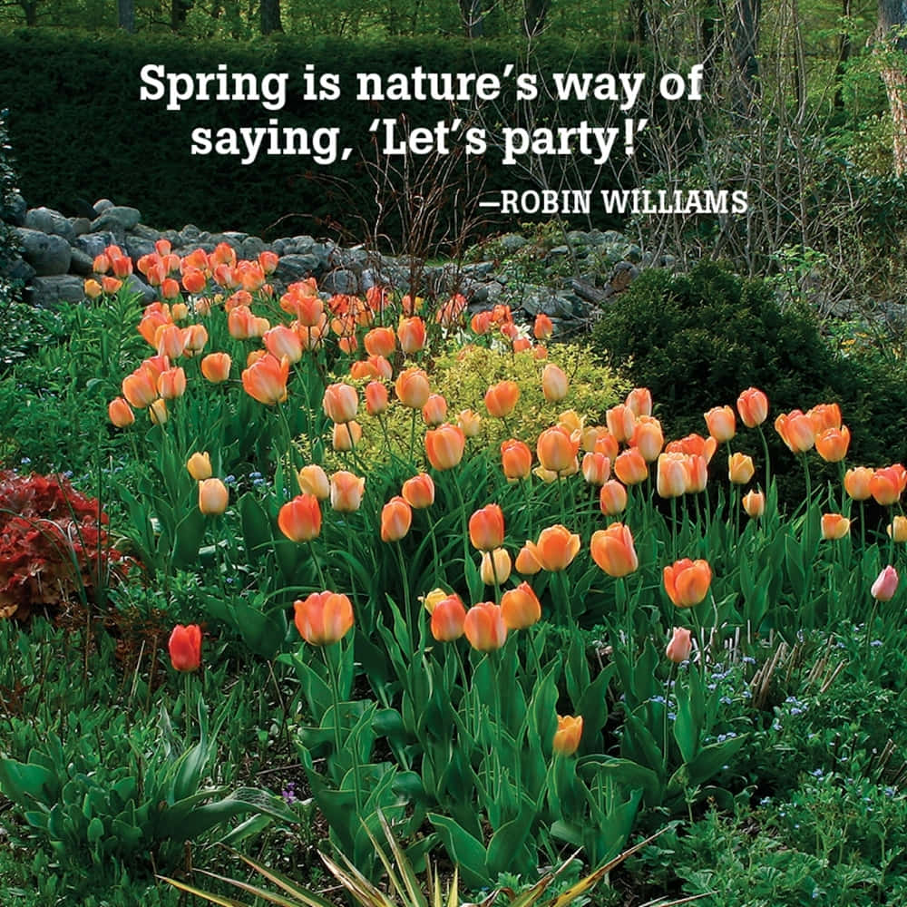 It is spring time. Spring quotes. Quotes about Spring.