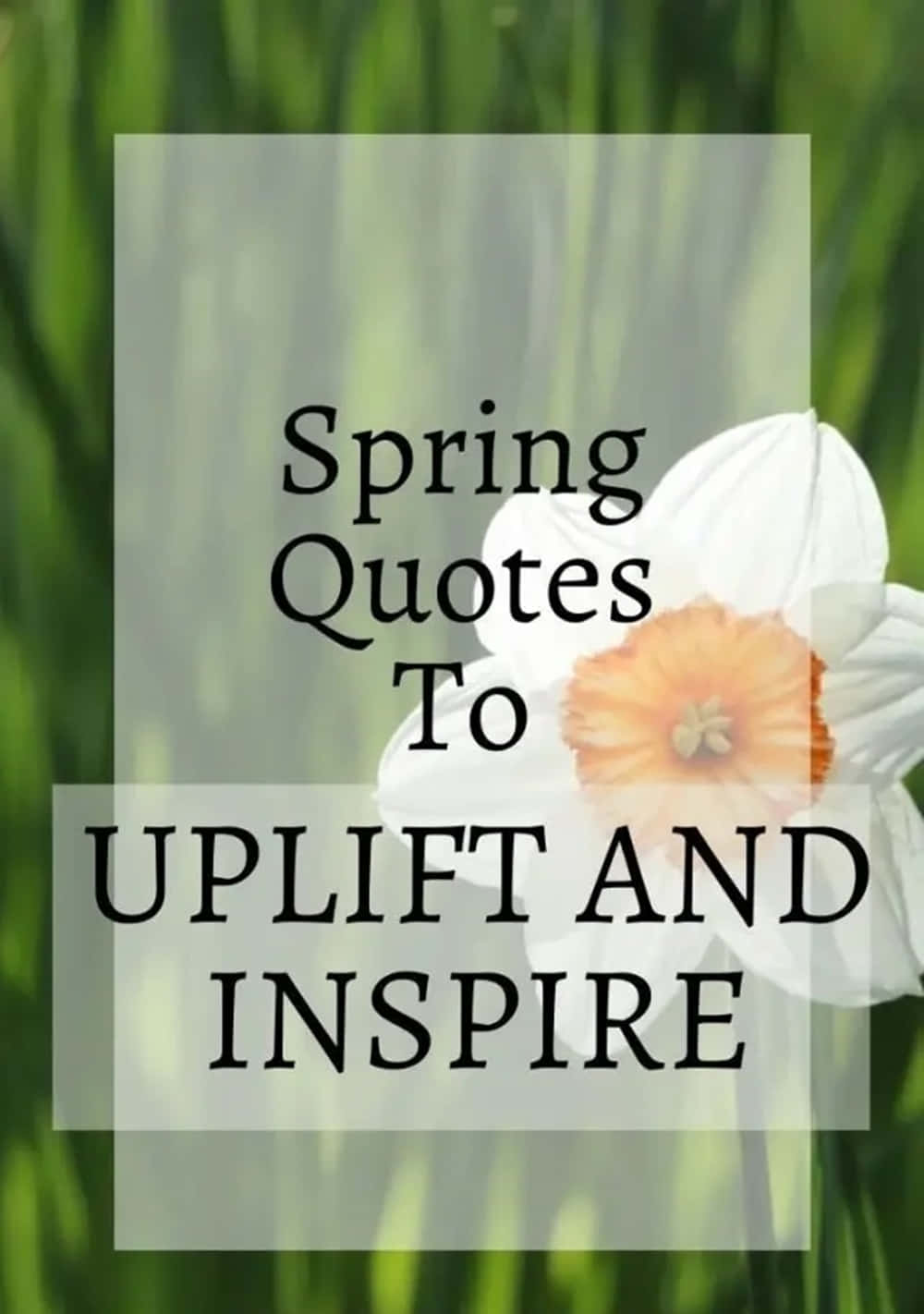 Spring Inspirational Scenery Wallpaper