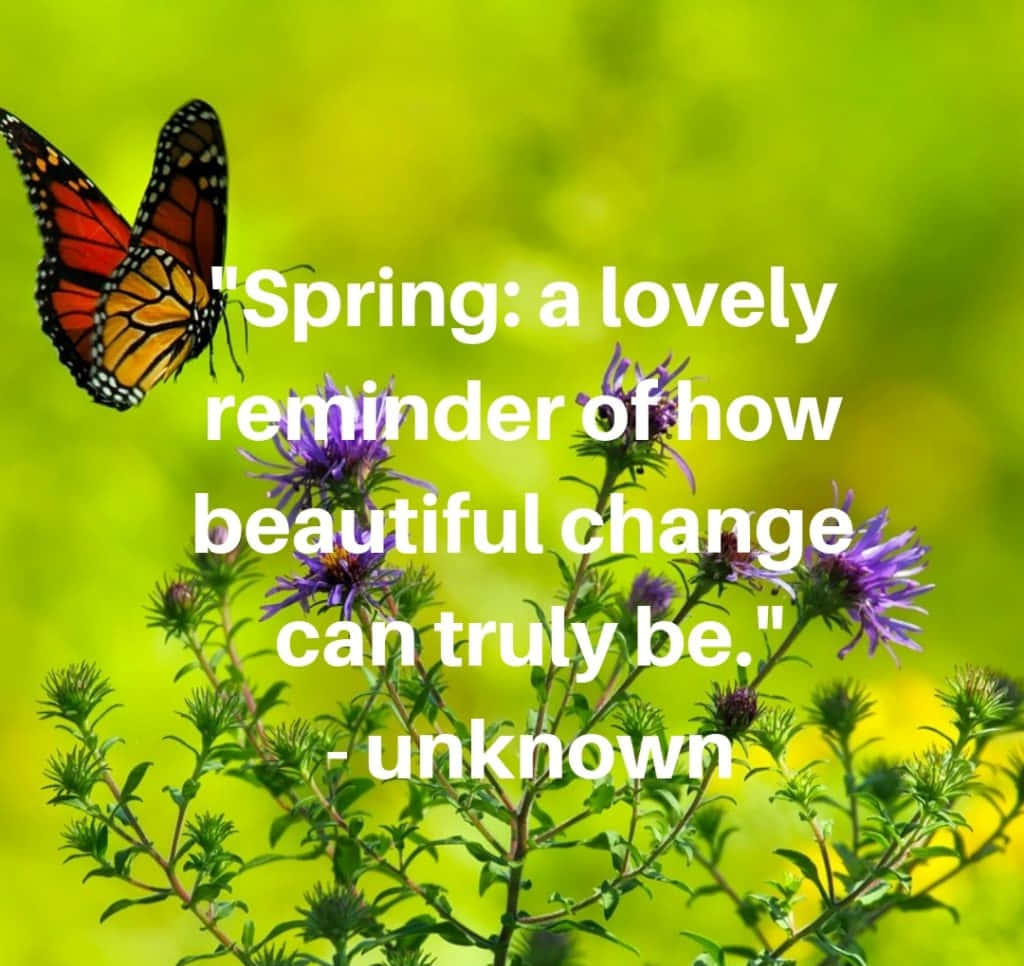Enchanting Spring Nature Scene Wallpaper