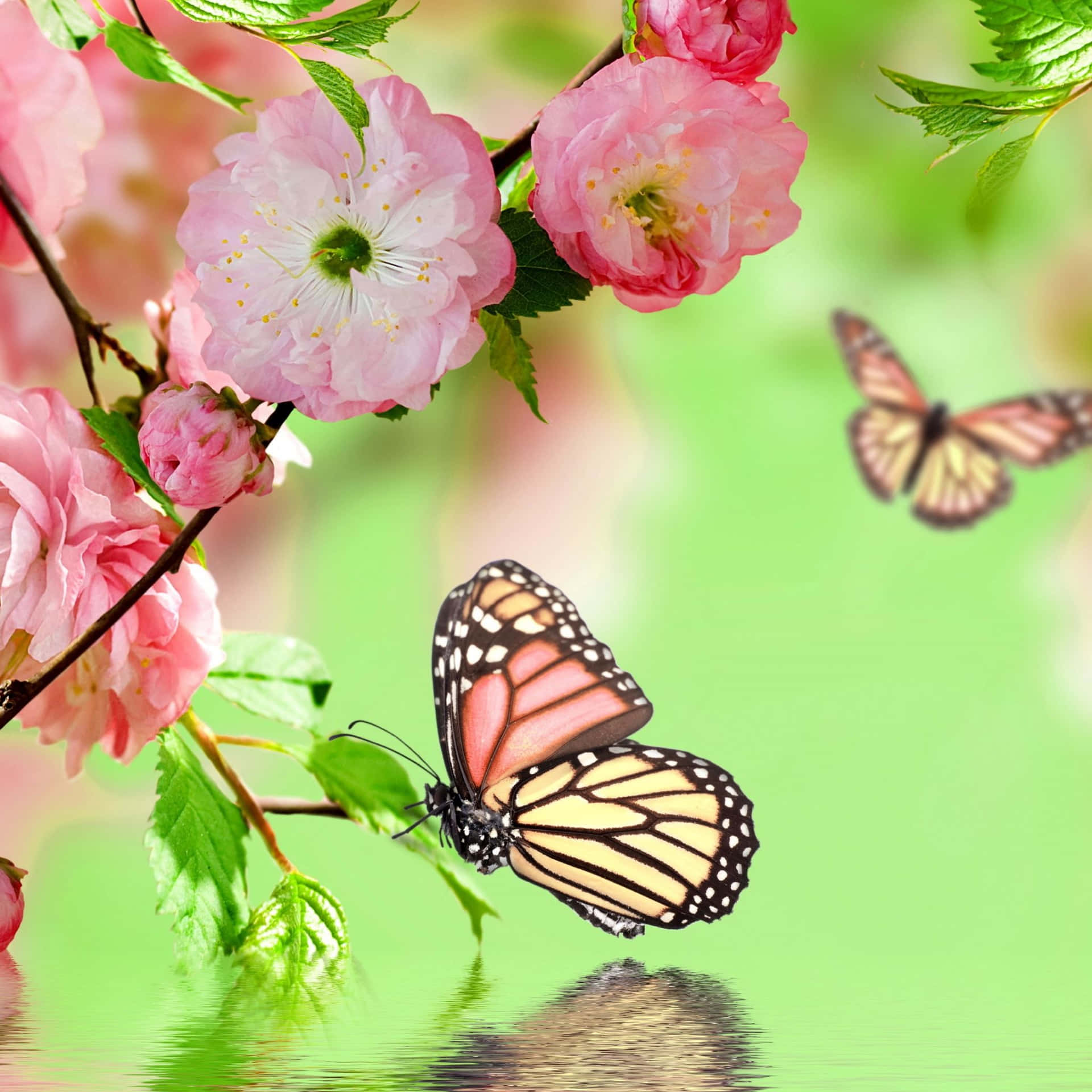 Enjoy the freshness of Spring with an iPad Wallpaper
