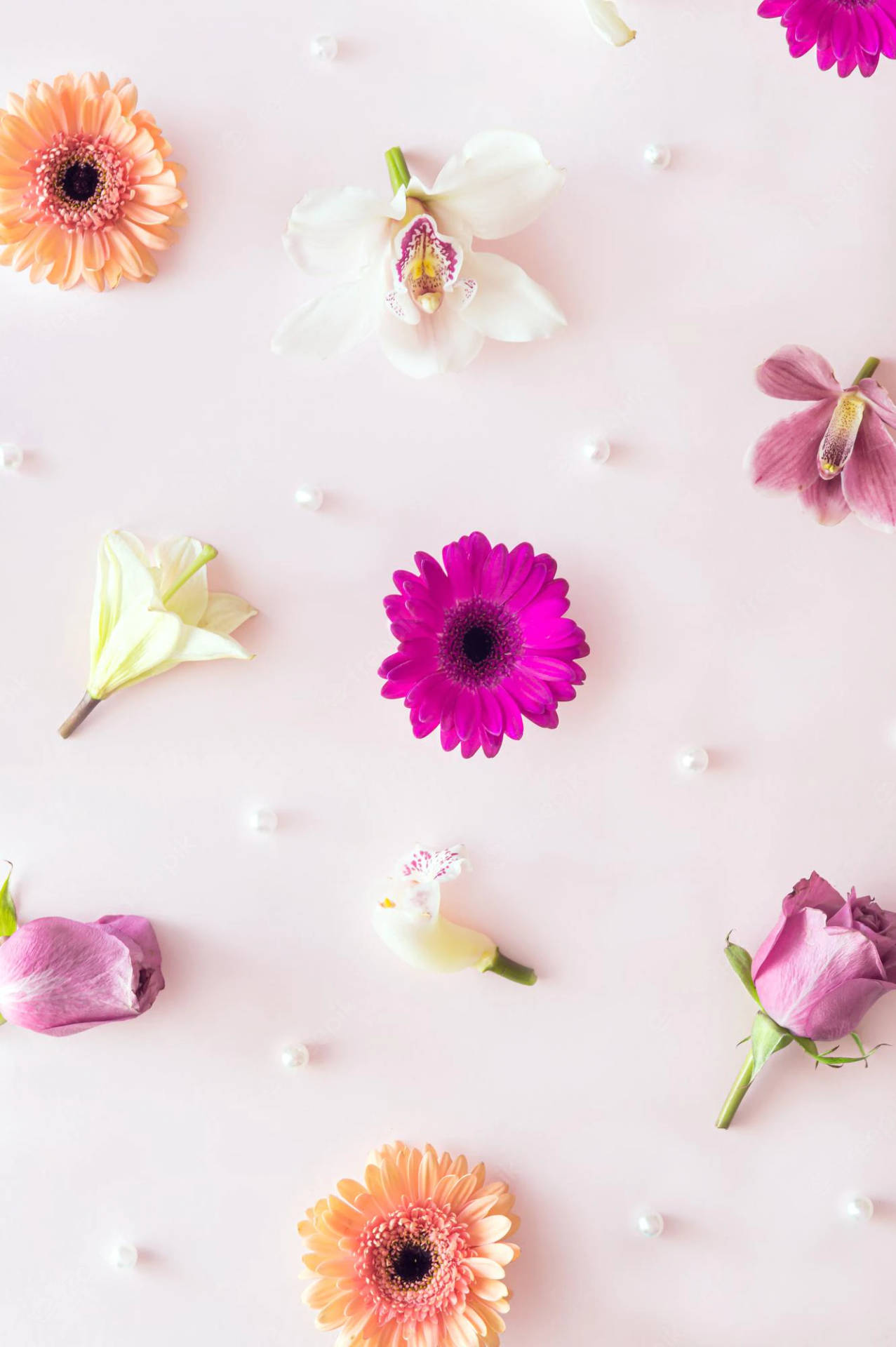 Frühlingsiphone Hintergrund Mit Rosa Blumen Im Flachen Stil Wallpaper