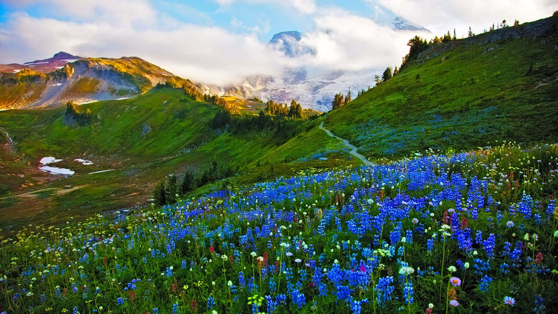 Breathtaking View of Beautiful Spring Landscape Wallpaper