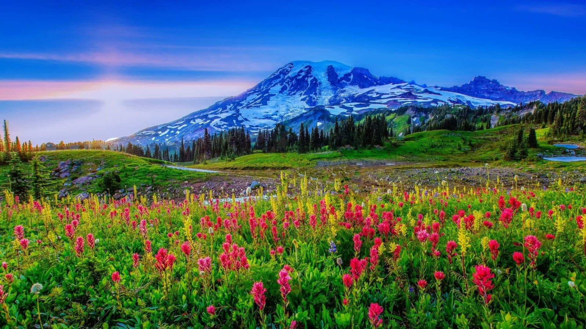 A Glimpse of Paradise: Stunning Spring Landscape Wallpaper