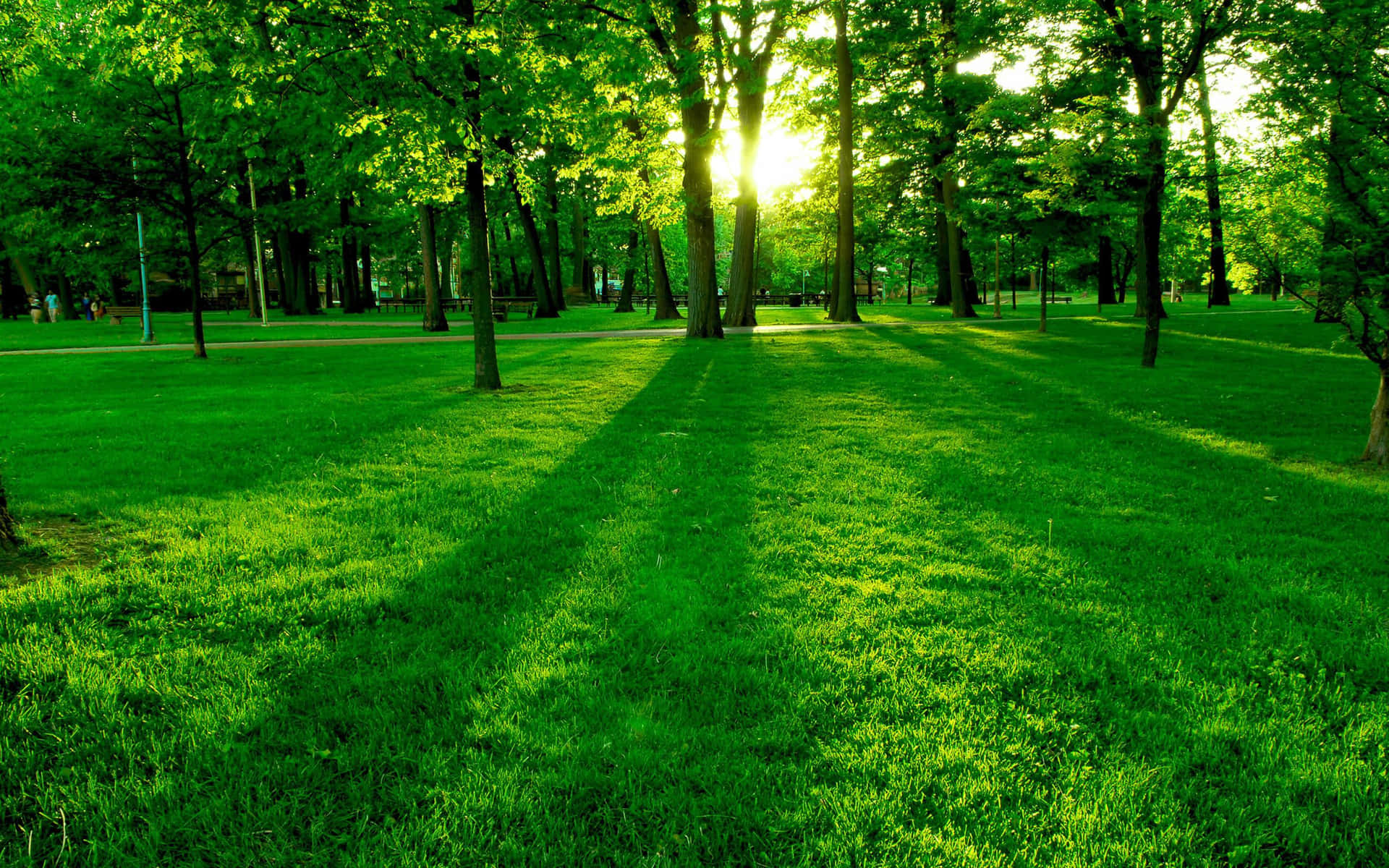 Caption: Serene Spring Landscape with Blooming Trees by the Lake Wallpaper