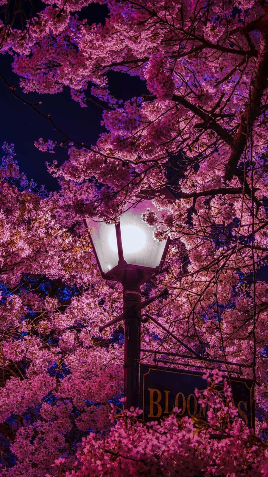 Enchanting Spring Lights Wallpaper