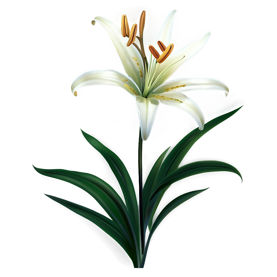 Spring Lily Flower Png 46 PNG