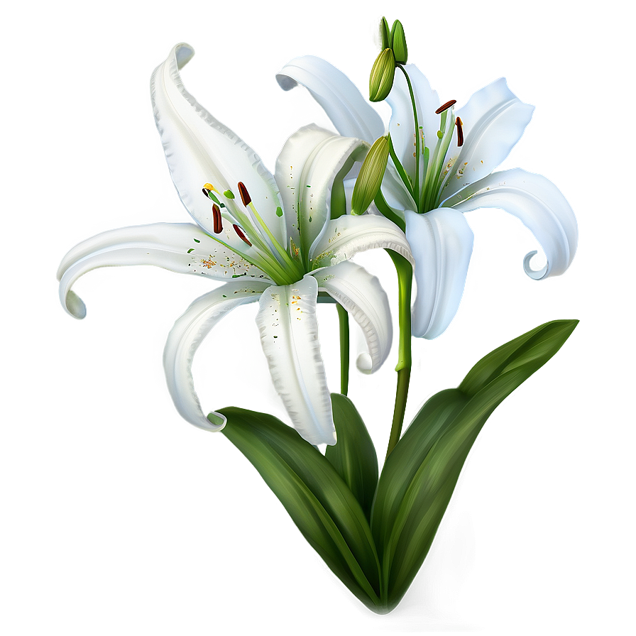 Spring Lily Flower Png Yec54 PNG