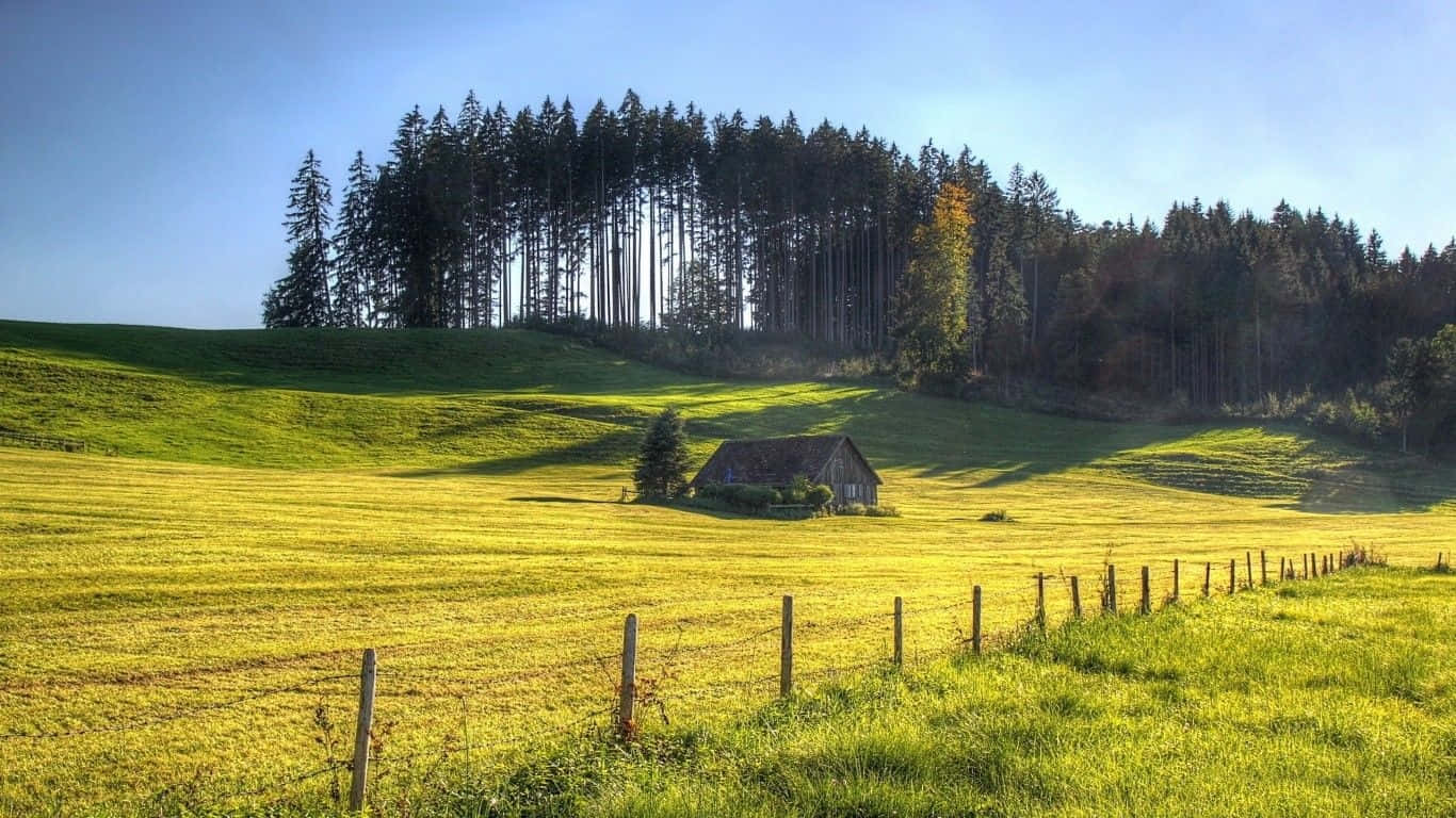 Serene Lente Weide Achtergrond