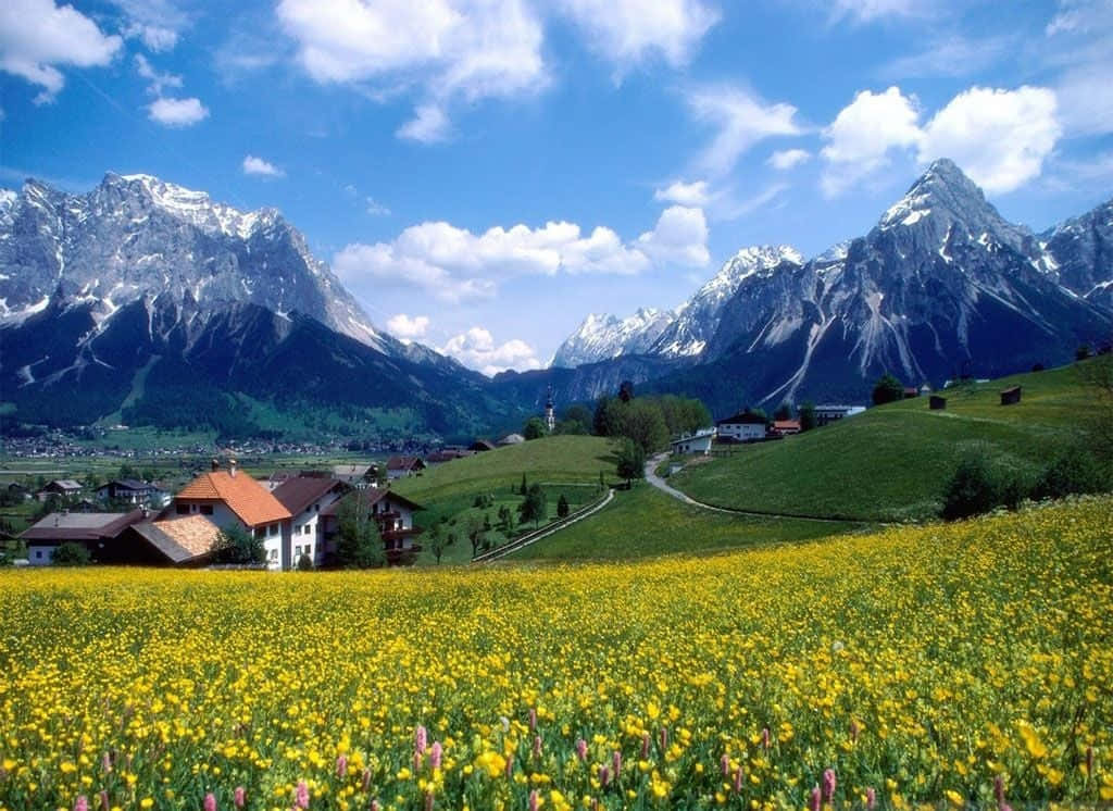 Stunning Spring Mountain Landscape Wallpaper