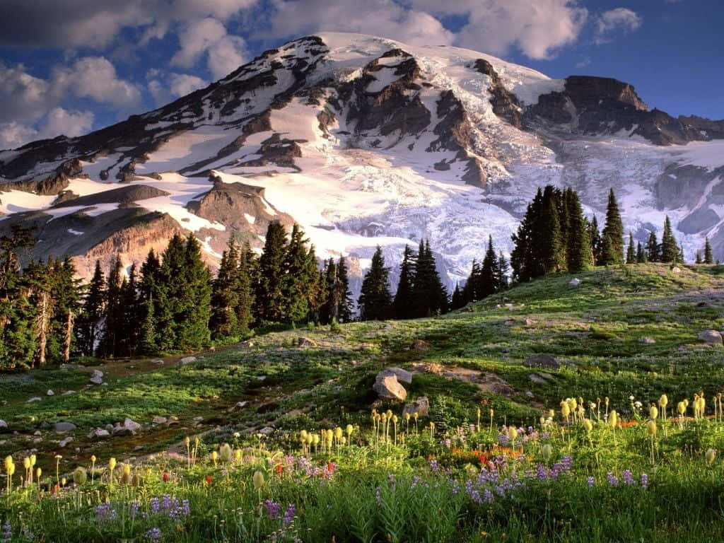 Unrefugio Vibrante: Spring Mountain Adornada Con Una Exuberante Flora De Colores Y El Telón De Fondo De Un Fascinante Cielo Azul. Fondo de pantalla