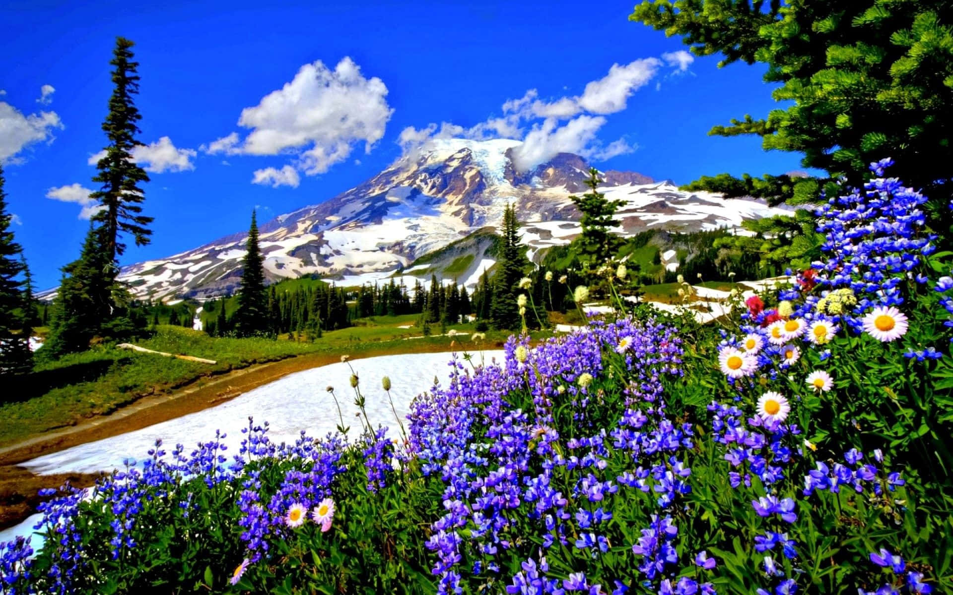 Majestic Spring Mountain Scene Wallpaper