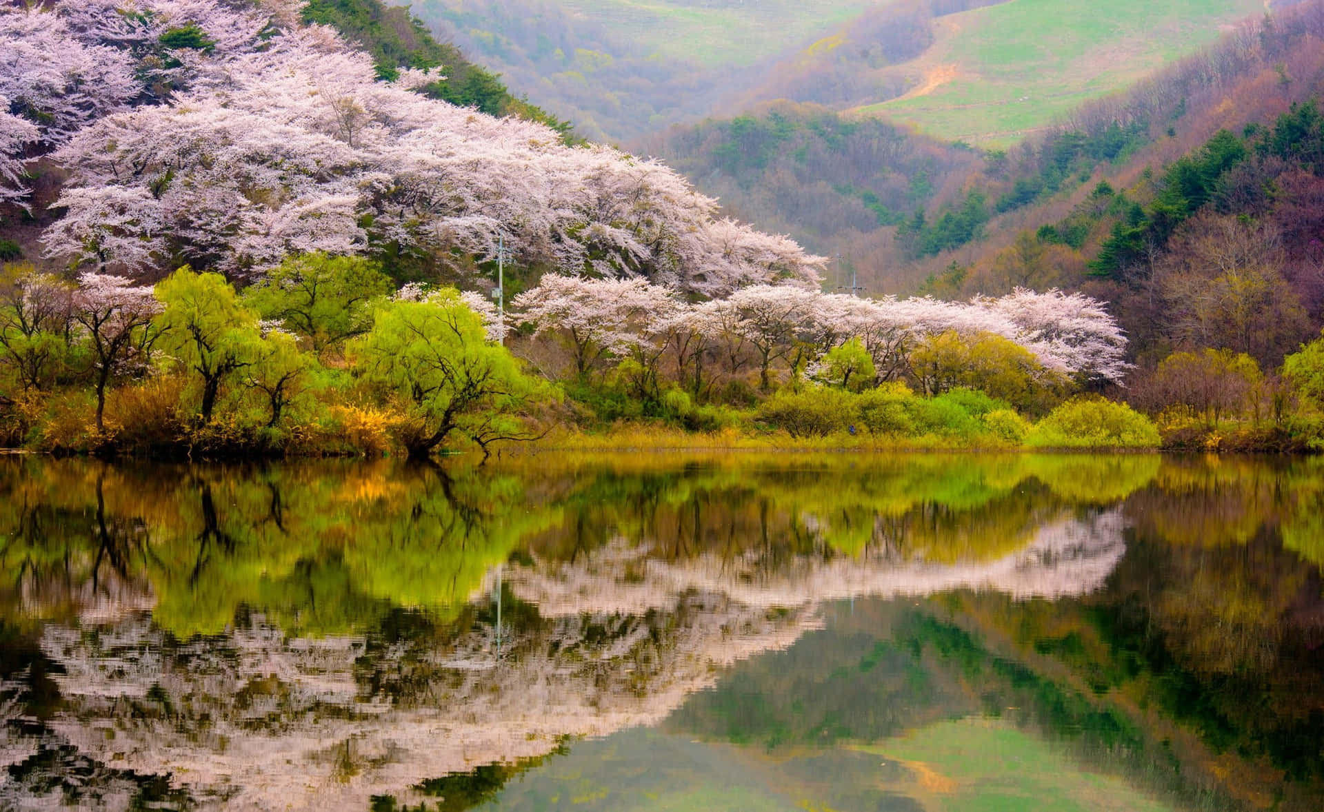 A Serene Spring Day at the Mountain Wallpaper