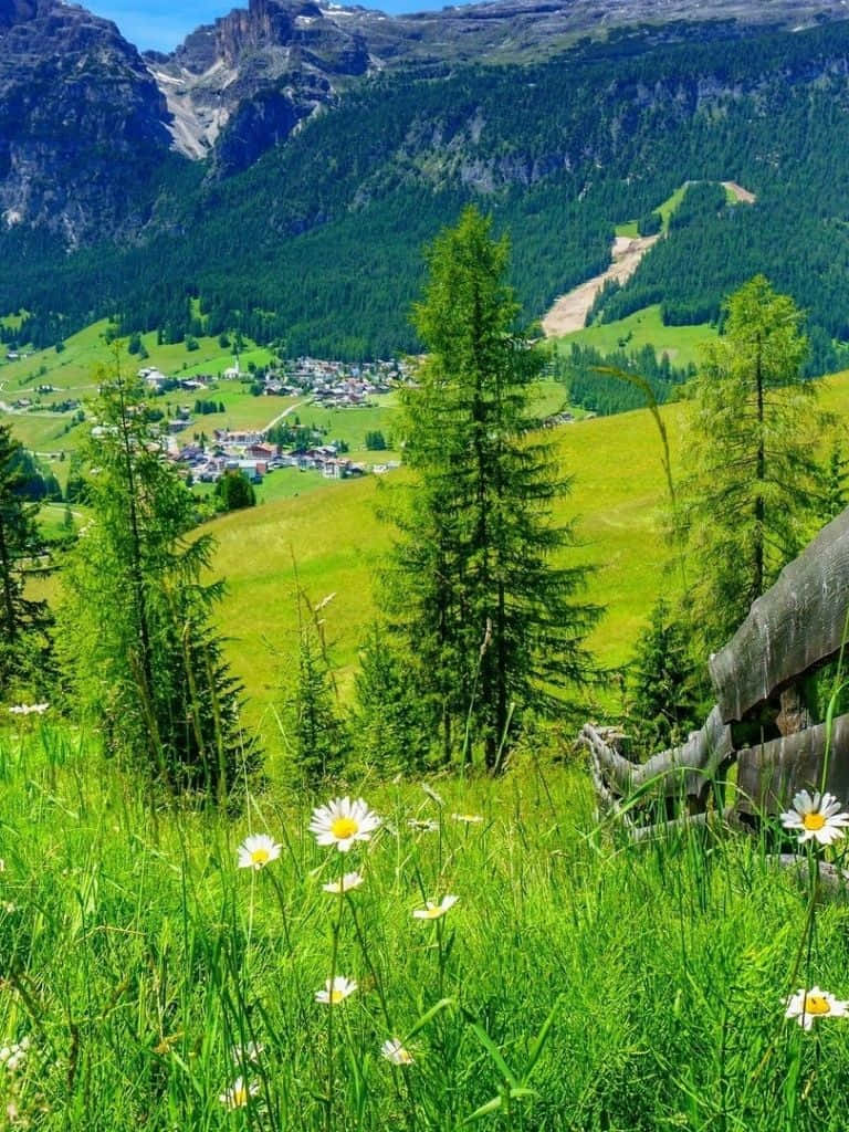Serene Spring Mountain Landscape Wallpaper