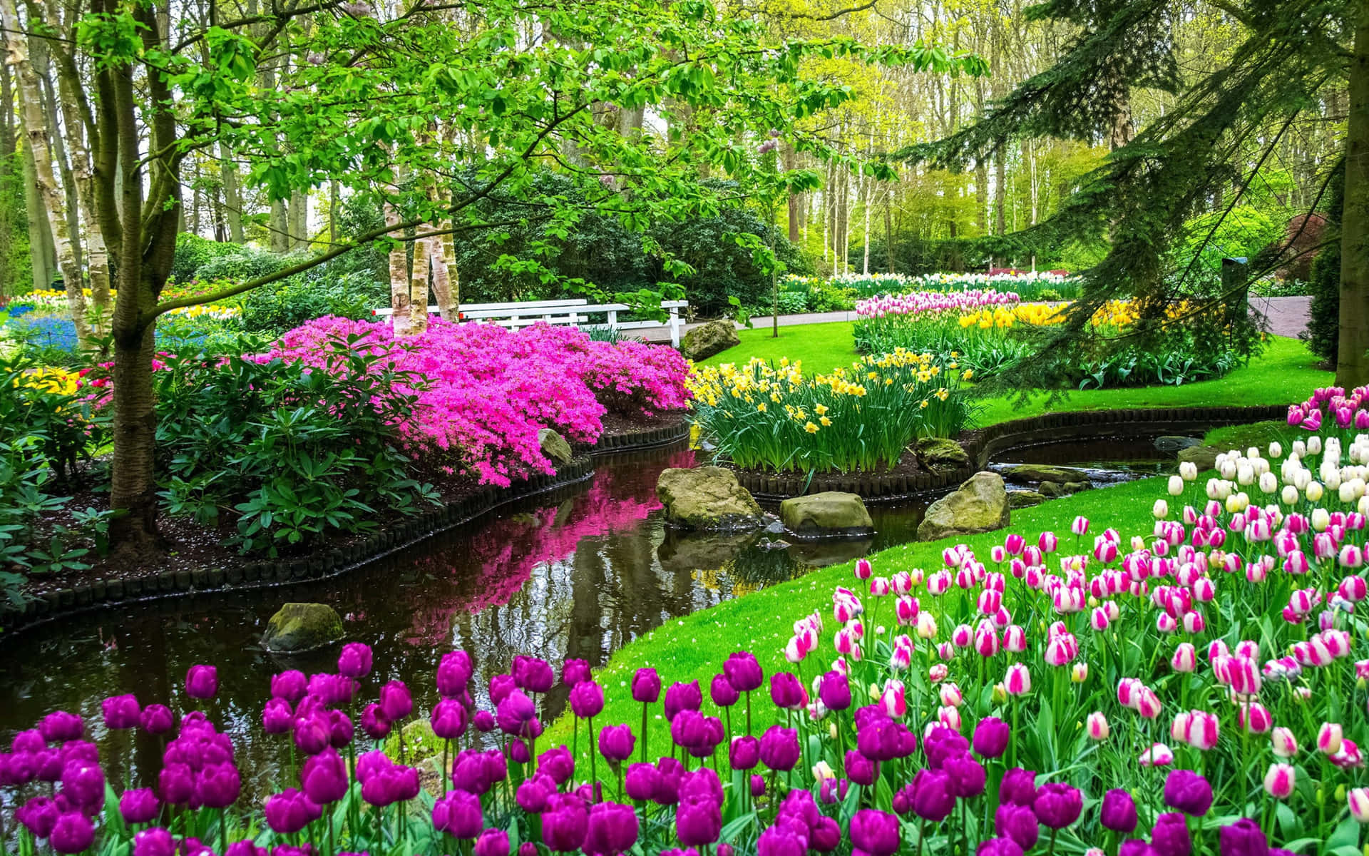 A Garden With Tulips And A Stream