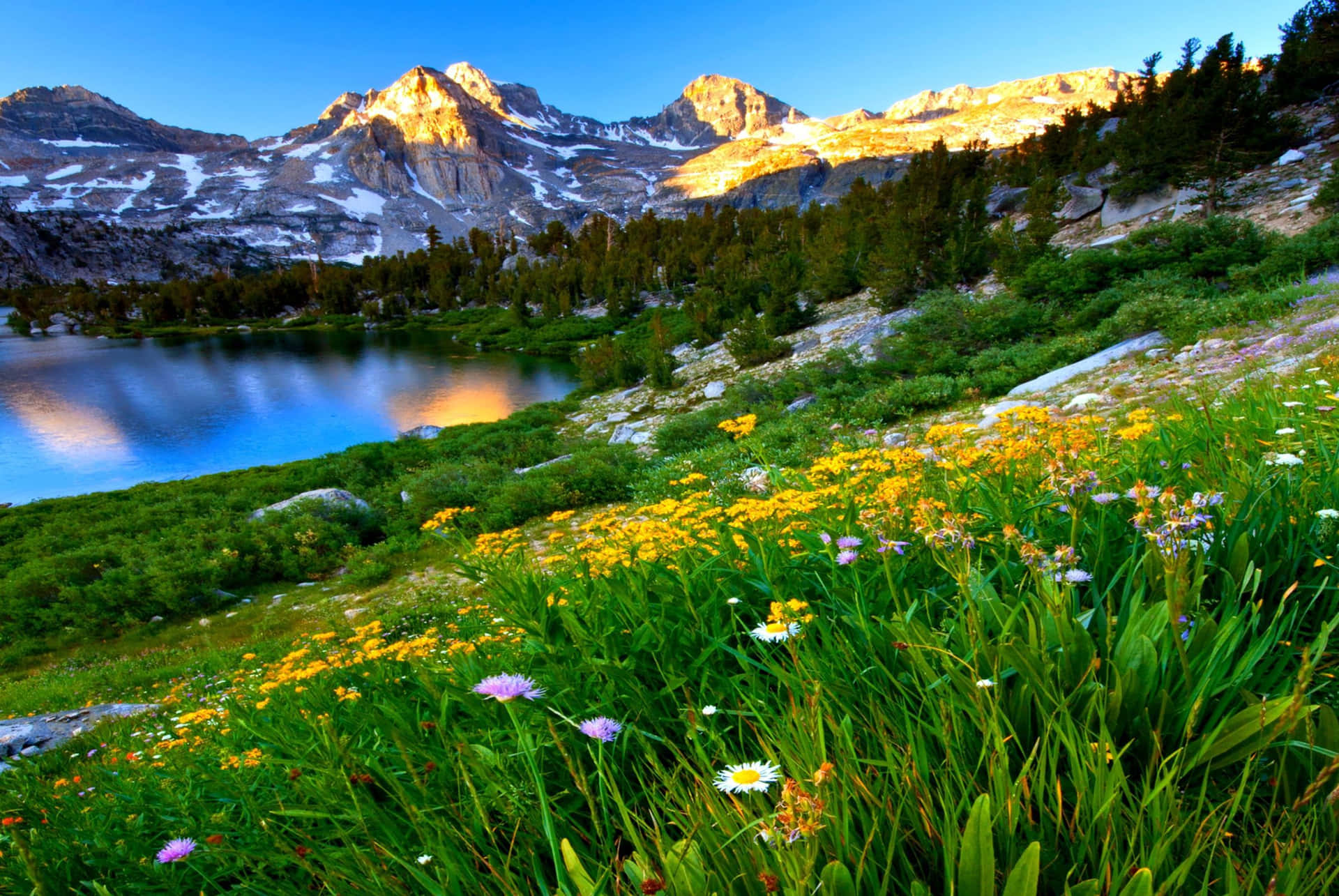 A Lake With Wildflowers And Mountains In The Background