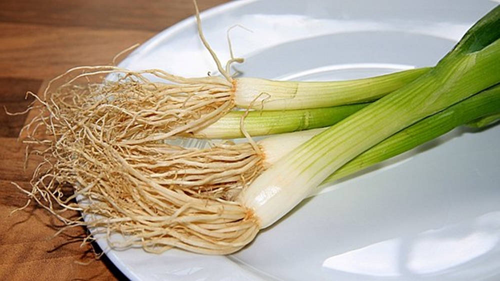 Spring Onion With Long Roots On Plate Wallpaper