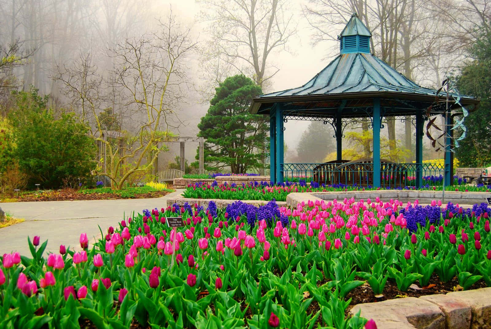 A Serene Spring Park with Vibrant Blooming Flowers Wallpaper