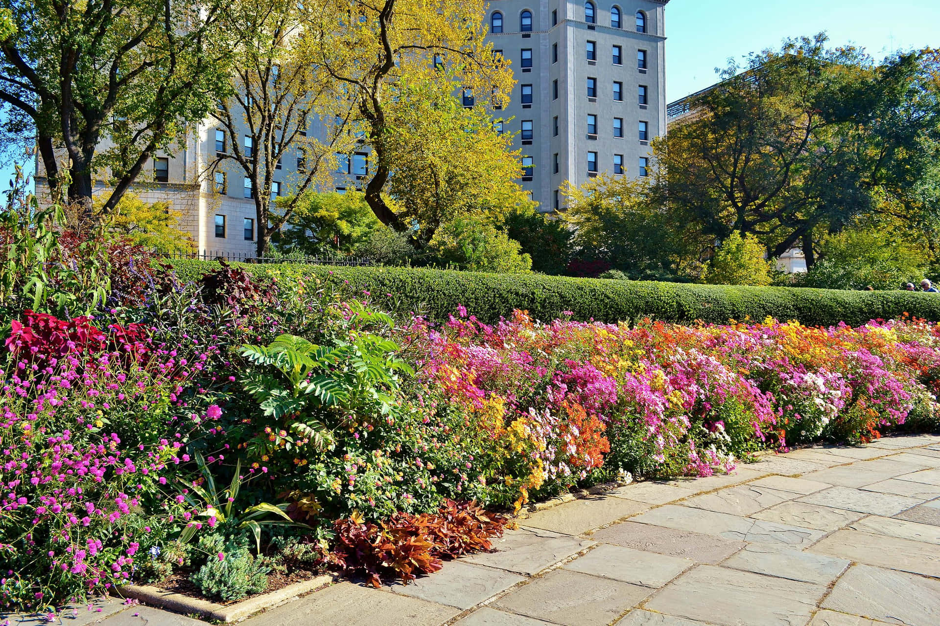 Serene Spring Park complemented by blooming flowers and a tranquil lake Wallpaper