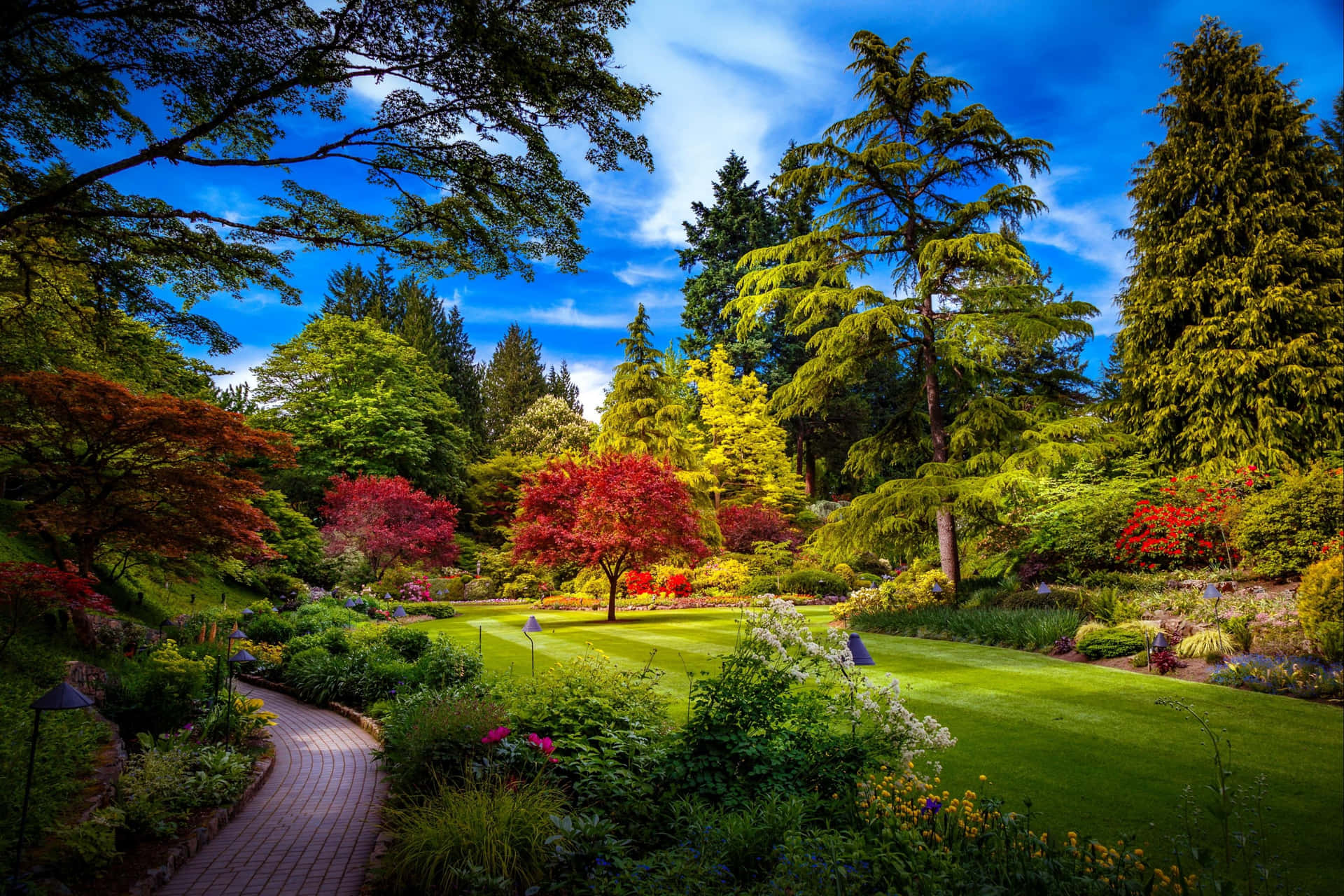 A Serene Spring Park with Lush Green Trees Wallpaper