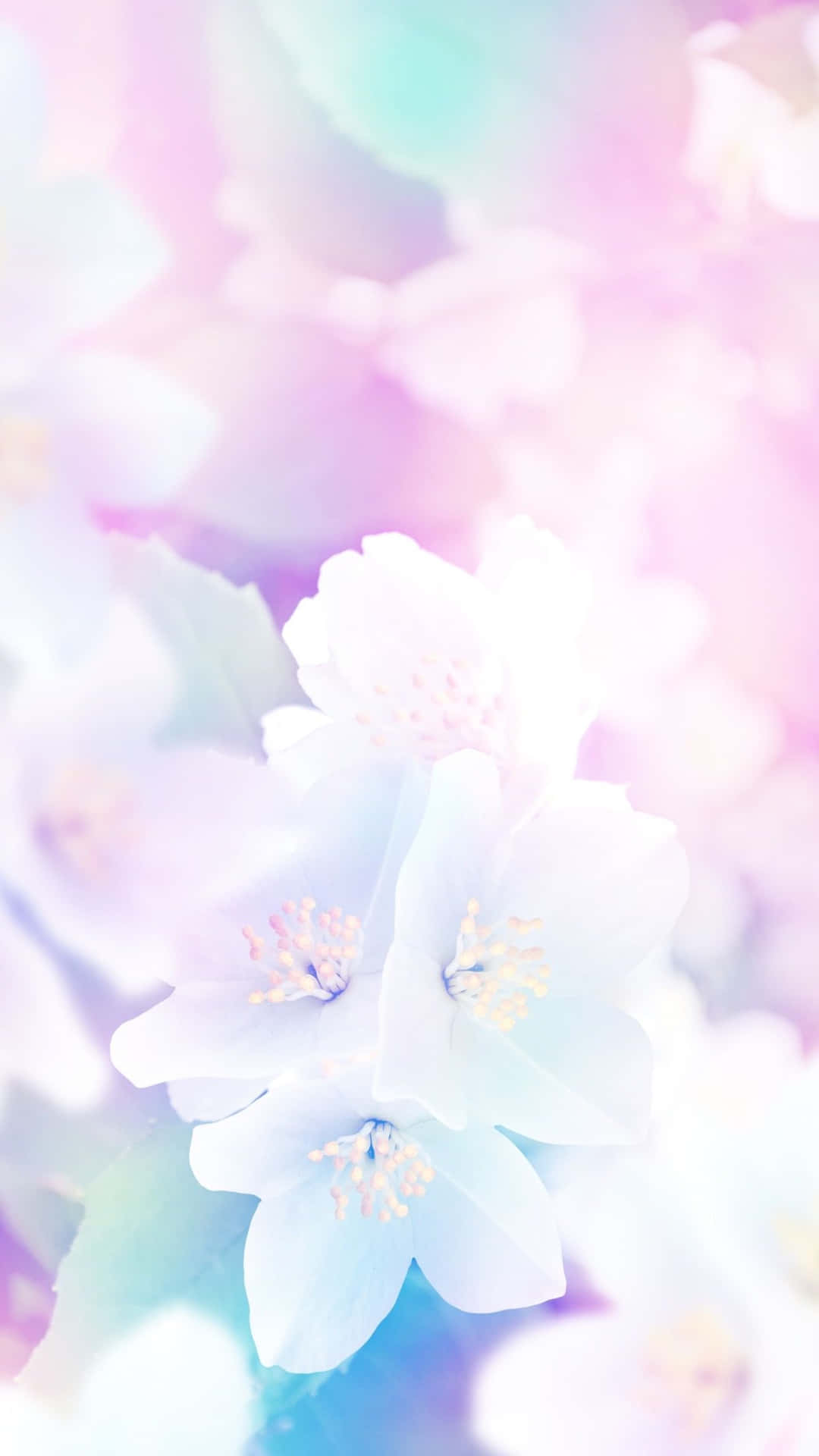 Serene Spring Pastel Scenery Wallpaper