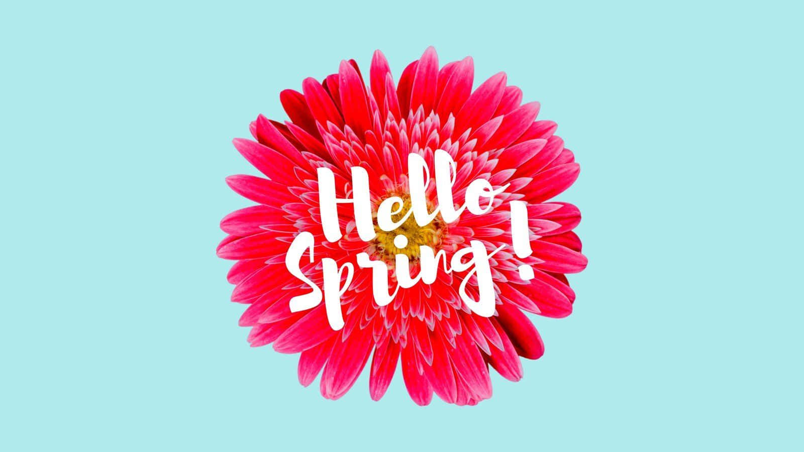 Blooming Spring Pastel Scenery Wallpaper