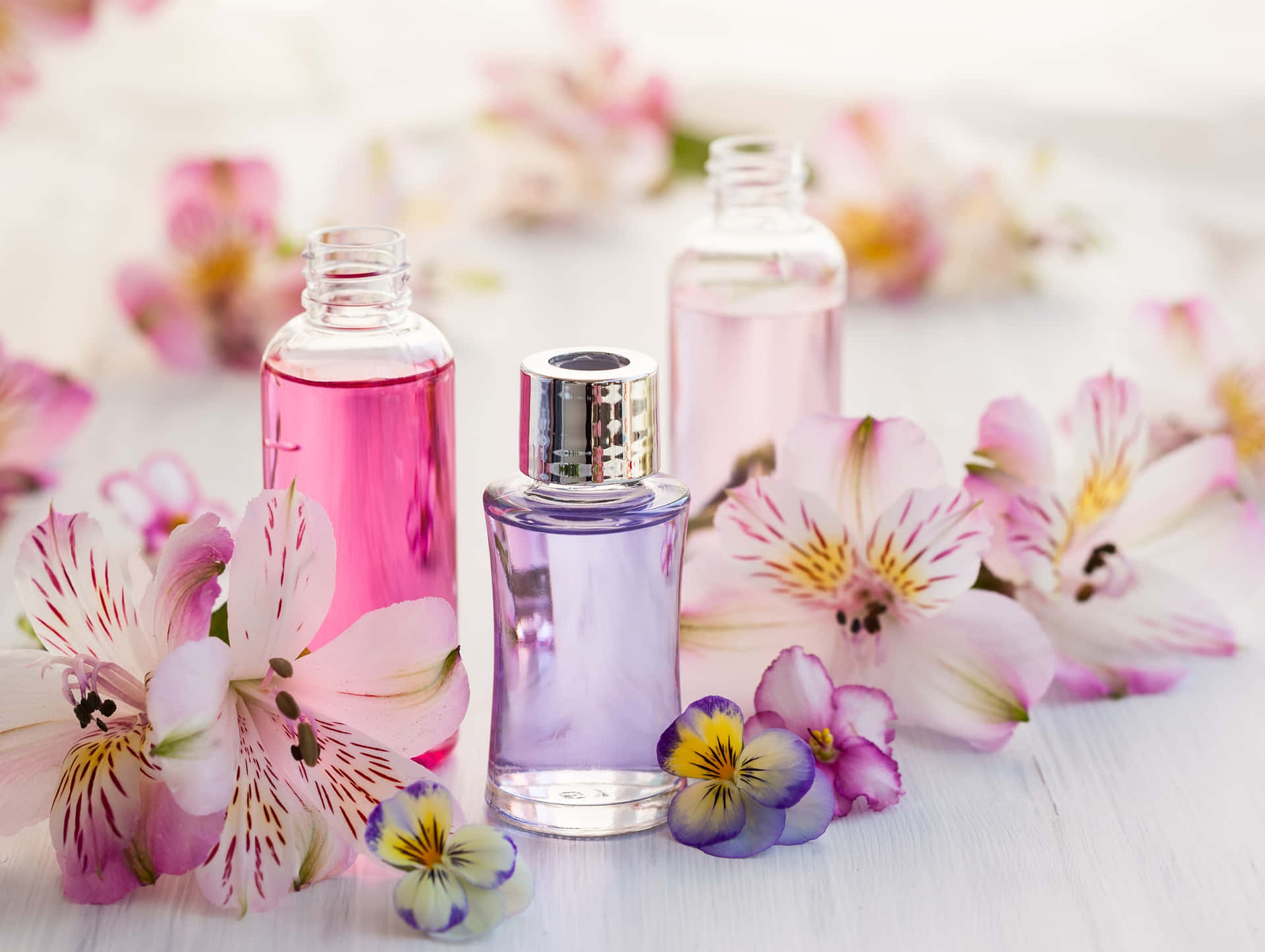 Download Spring Perfume - Blossoming Fragrances Wallpaper | Wallpapers.com