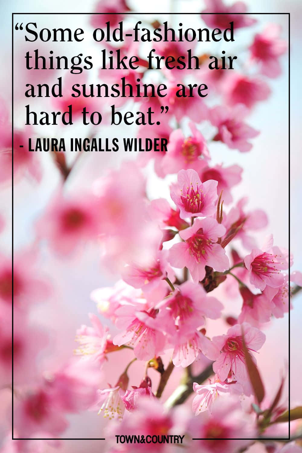 Inspirational Spring Quote on a Beautiful Floral Background Wallpaper