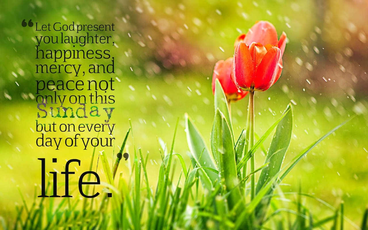 Blooming flowers and inspiring Spring quote Wallpaper