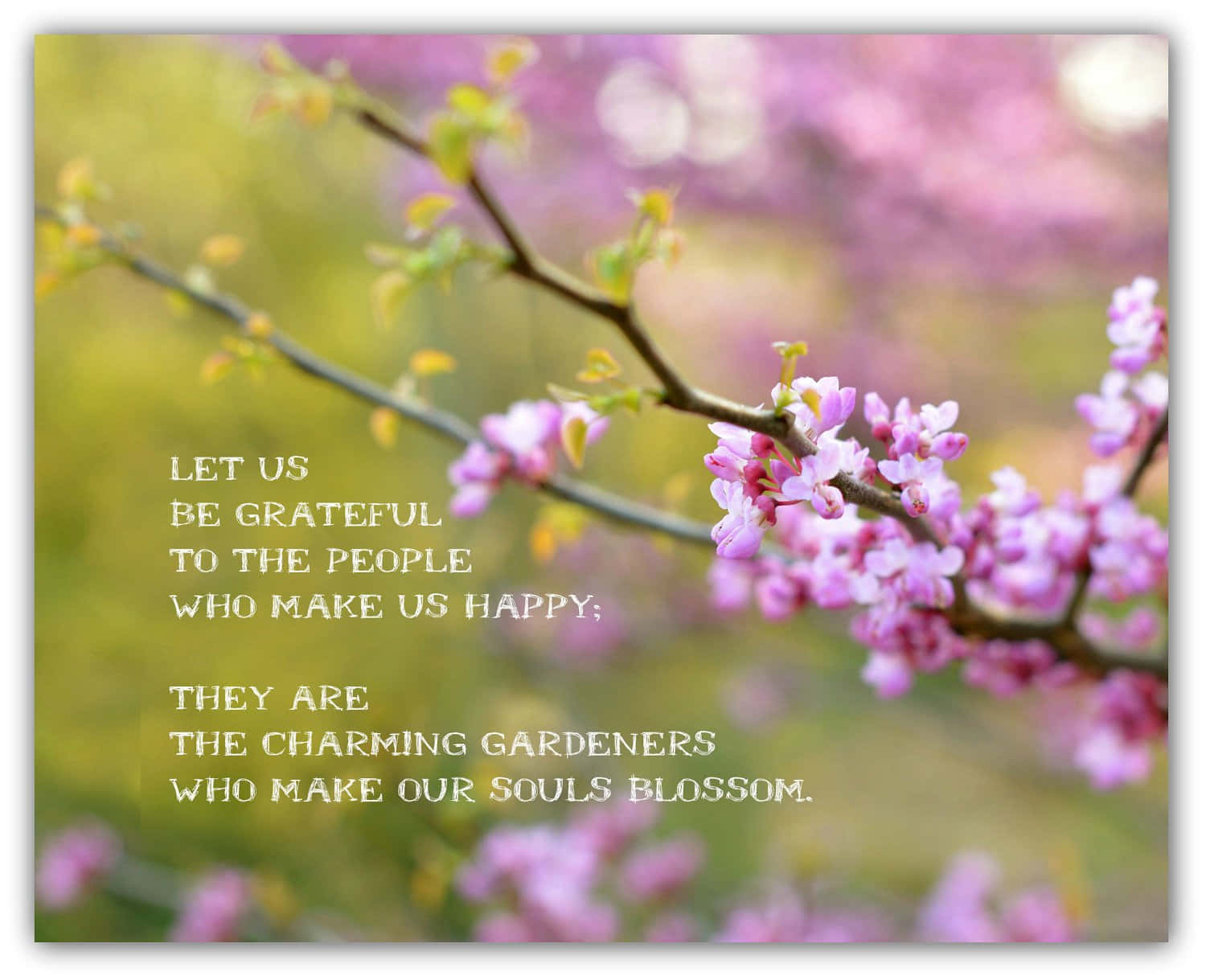 Blooming Spring Inspiration Wallpaper