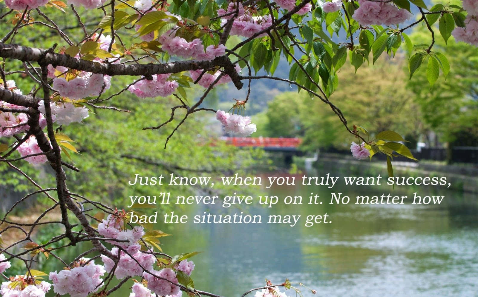 Spring Awakening: Inspirational quote on a serene landscape Wallpaper