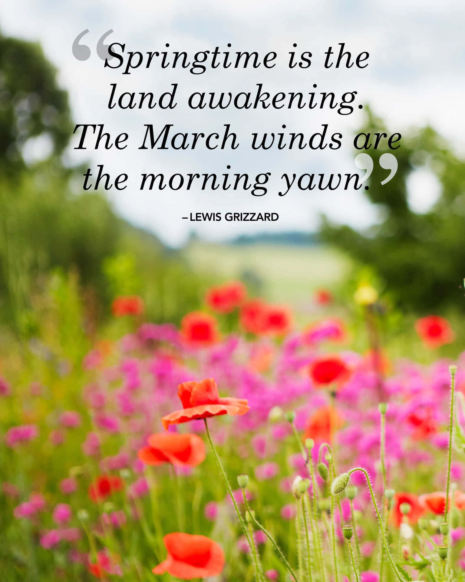 Sunny Spring Scenery with Inspirational Quote Wallpaper