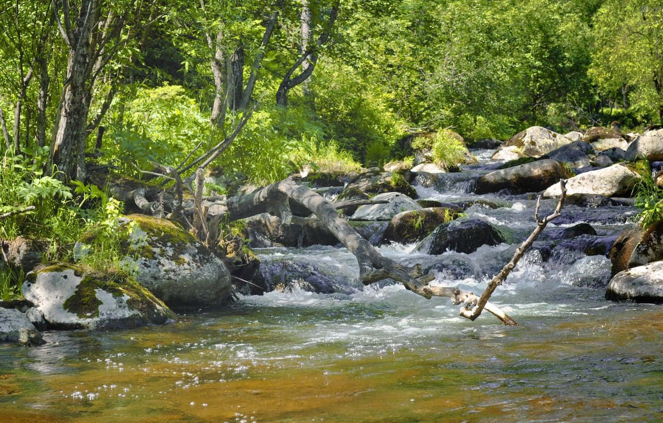 Serene Spring River Landscape Wallpaper