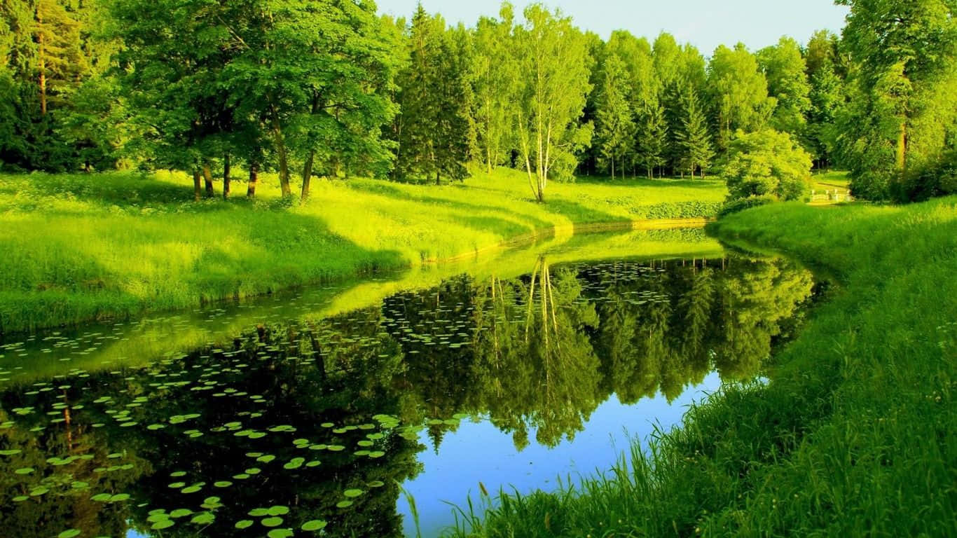 Serene Spring River Flowing Through Enchanting Forest Landscape Wallpaper