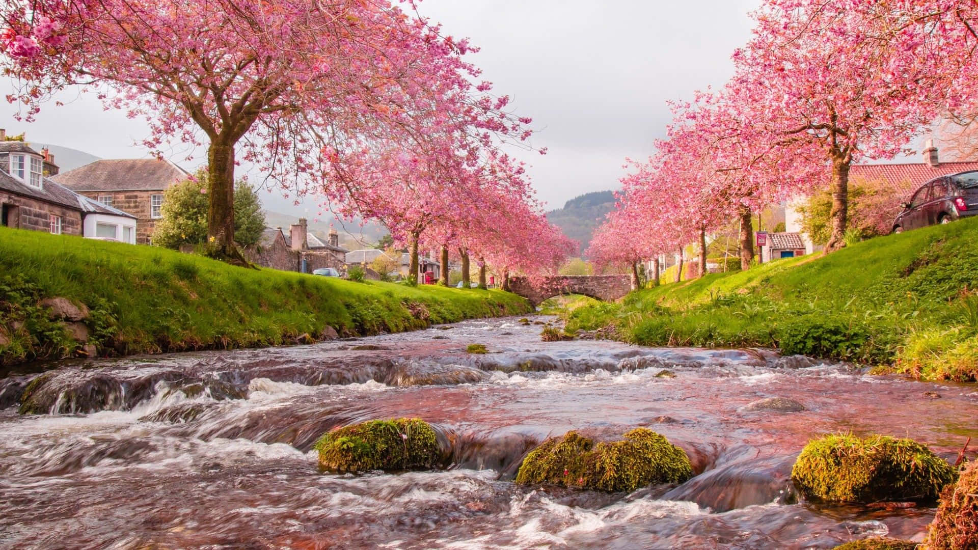 Serene Spring River Landscape Wallpaper