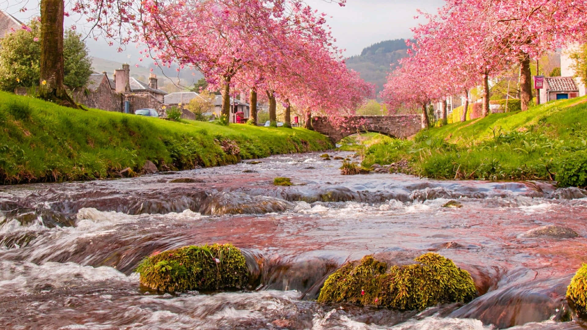 Tranquil Spring River Wallpaper