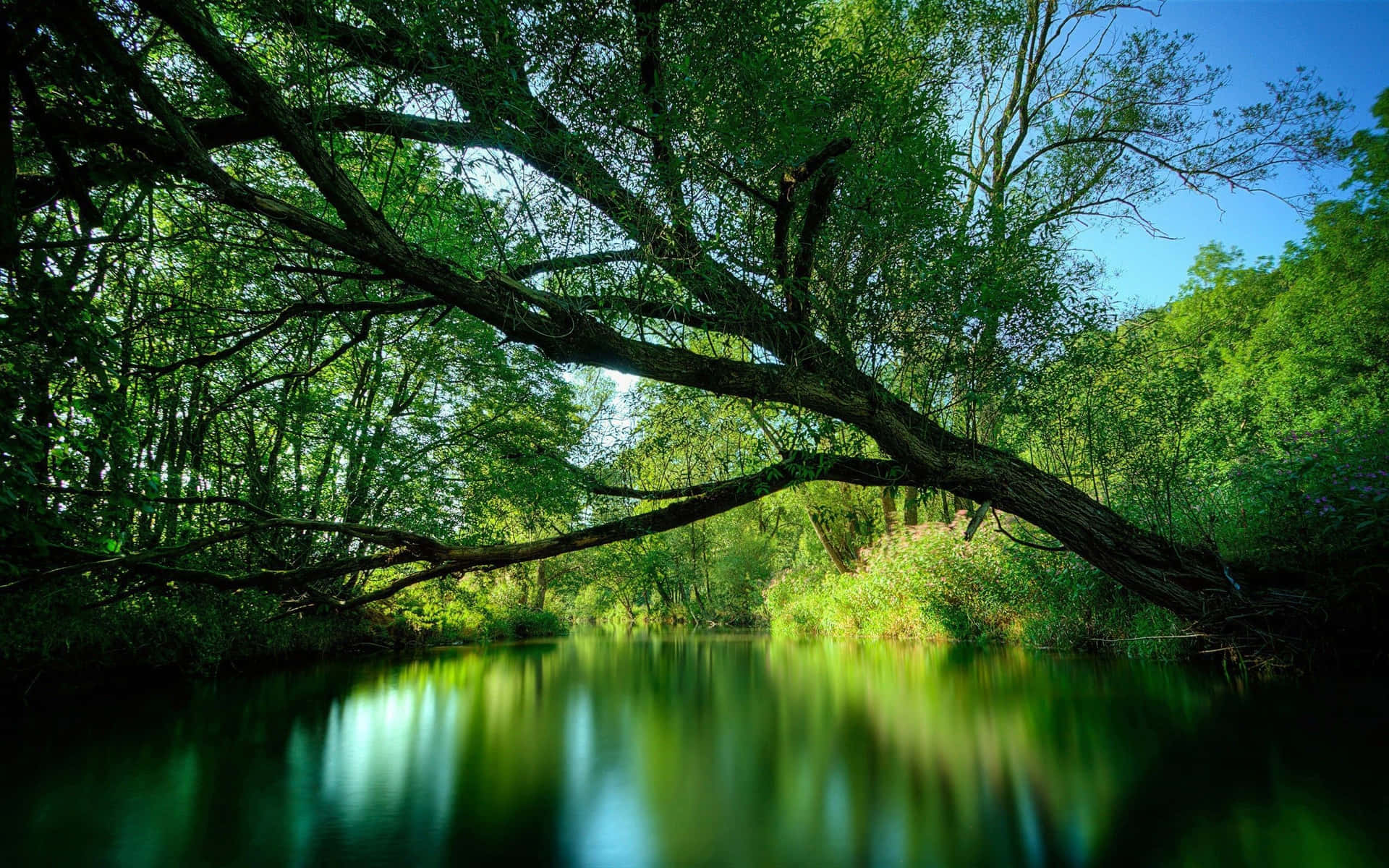 Serene Spring River Scenery Wallpaper