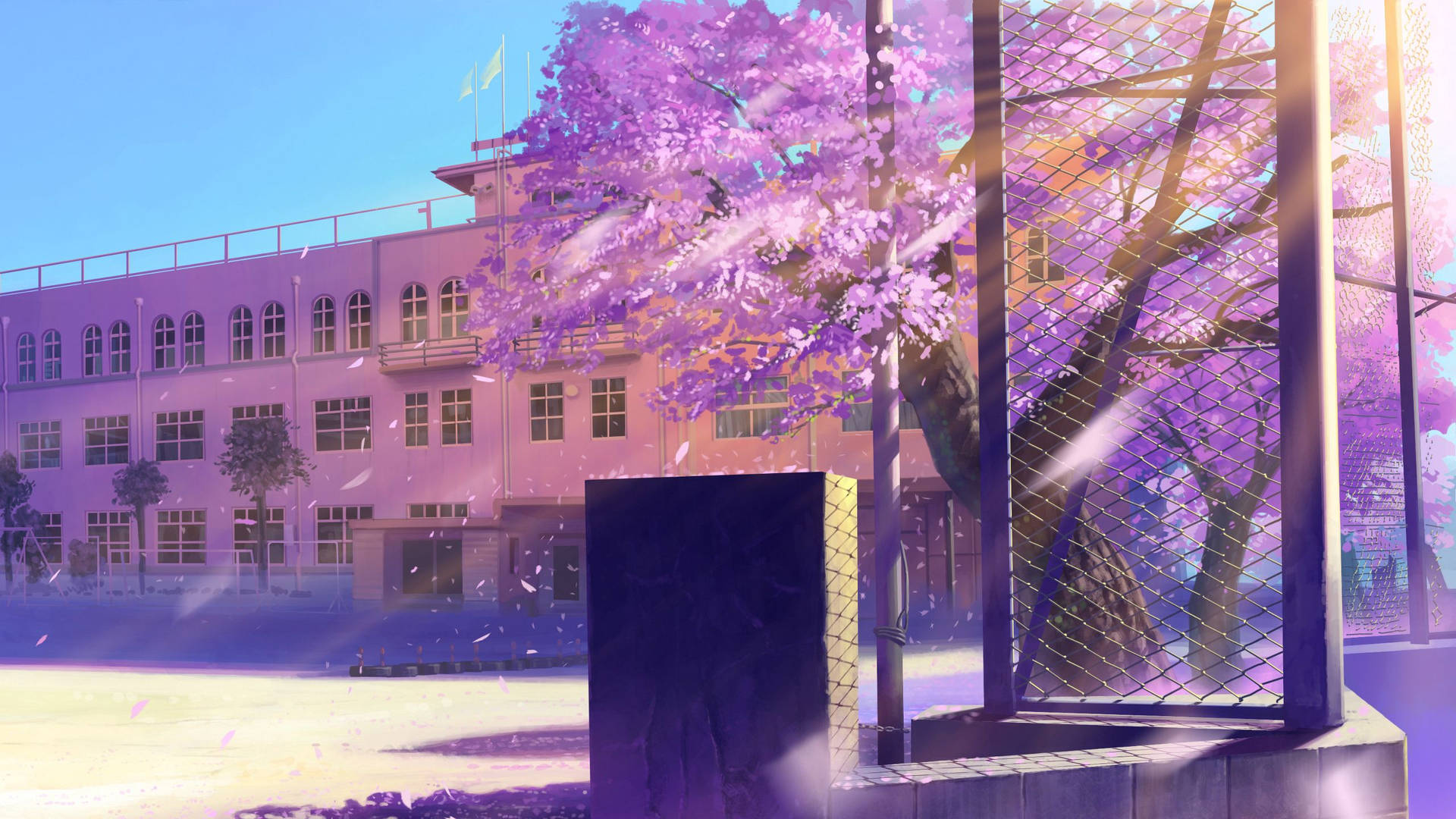 Animated school with cherry blossoms during the spring season, HD wallpaper.