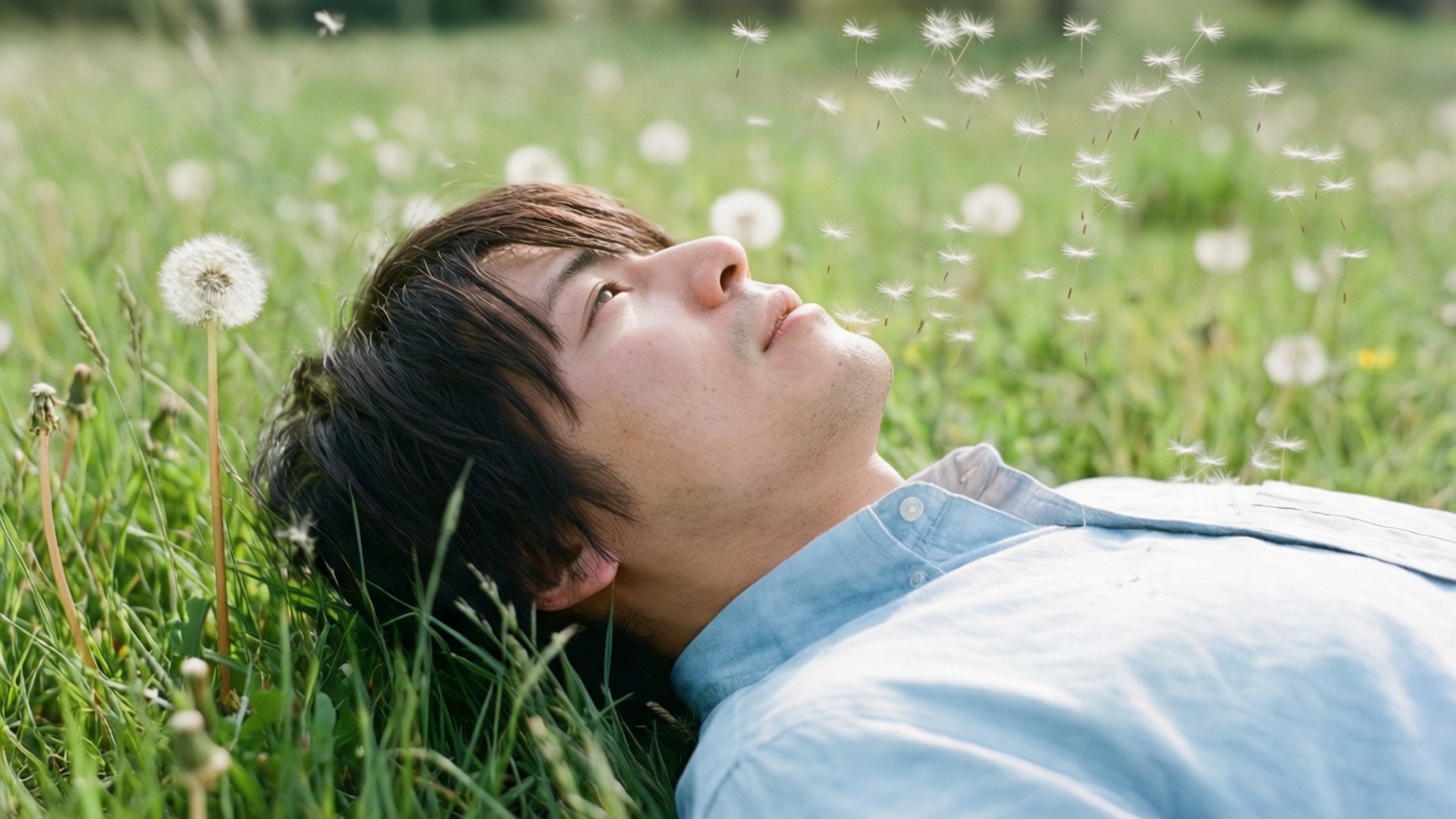 Man resting in grass field blowing dandelion seeds