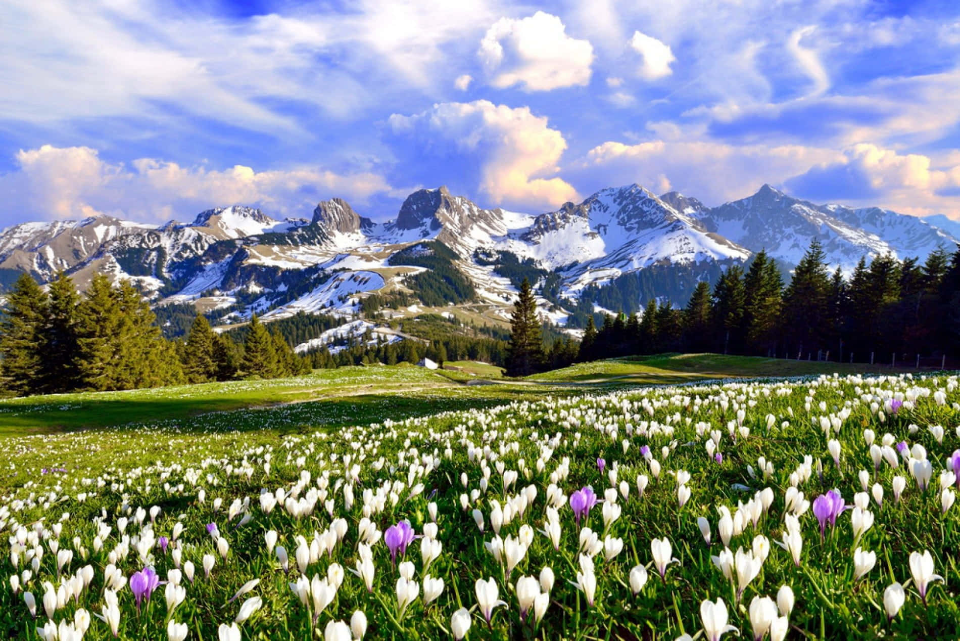 Hermosocielo De Primavera Con Un Arcoíris. Fondo de pantalla