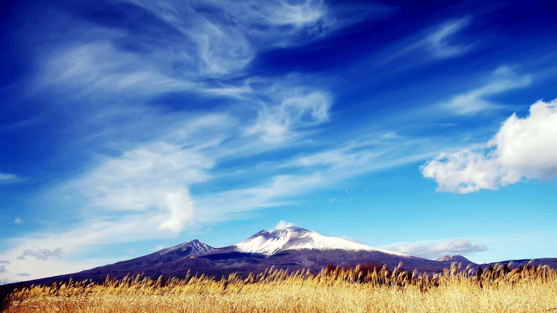Beautiful Spring Sky with Fluffy Clouds Wallpaper