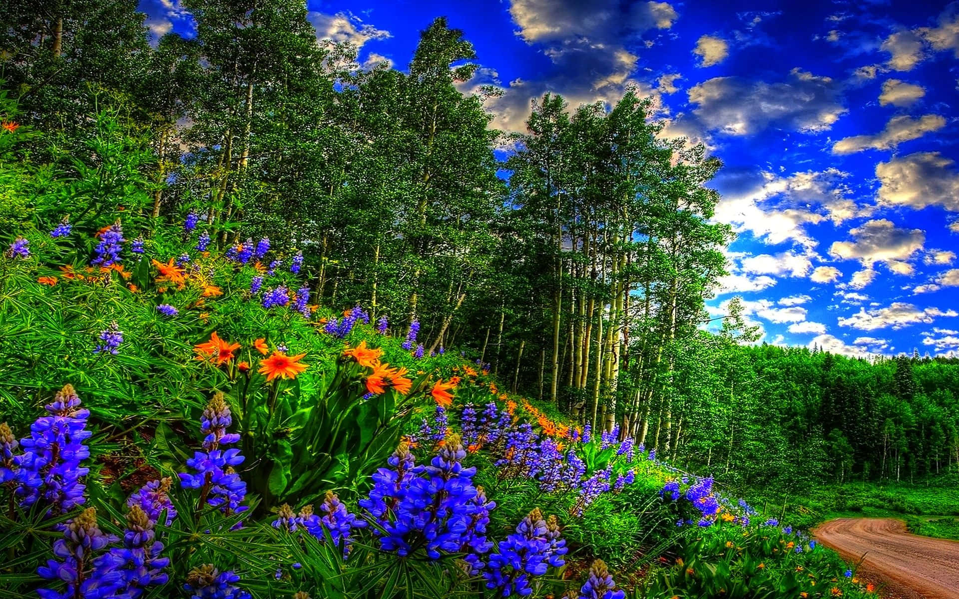 Cielotranquilo De Primavera Sobre Exuberantes Campos Verdes. Fondo de pantalla