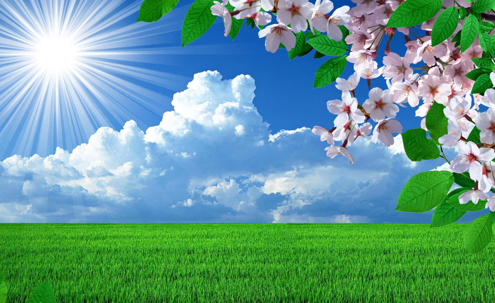 Caption: Beautiful Spring Sky with Lush Green Nature Wallpaper