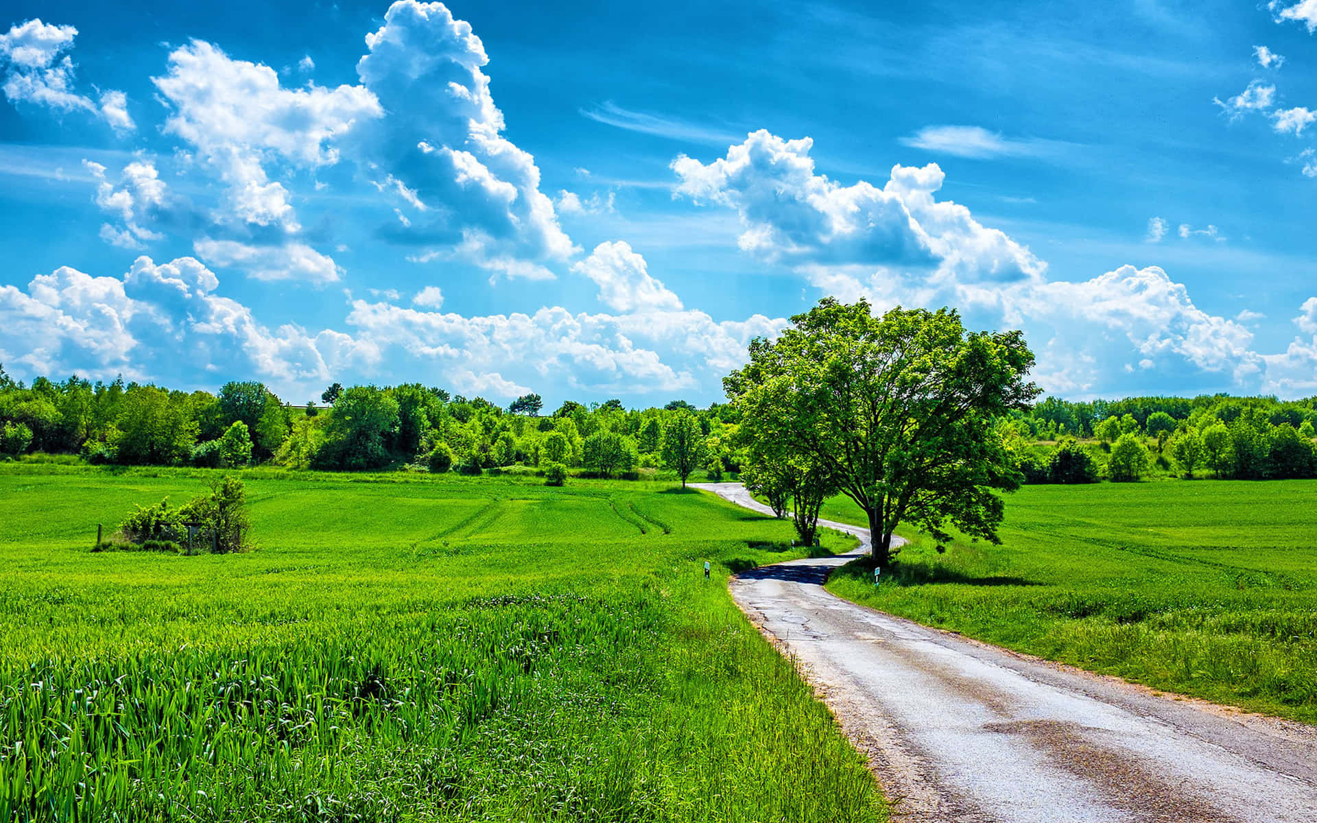 Cielode Primavera Animado Sobre Un Campo Floreciente Fondo de pantalla