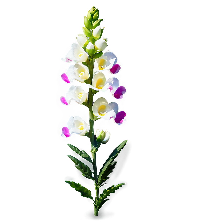 Spring Snapdragon Png Eea PNG