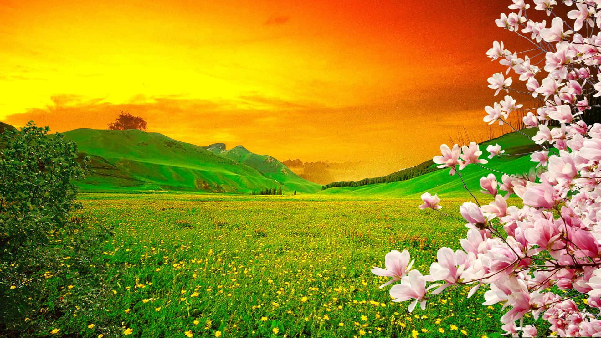 Enchanting Spring Sunset Wallpaper