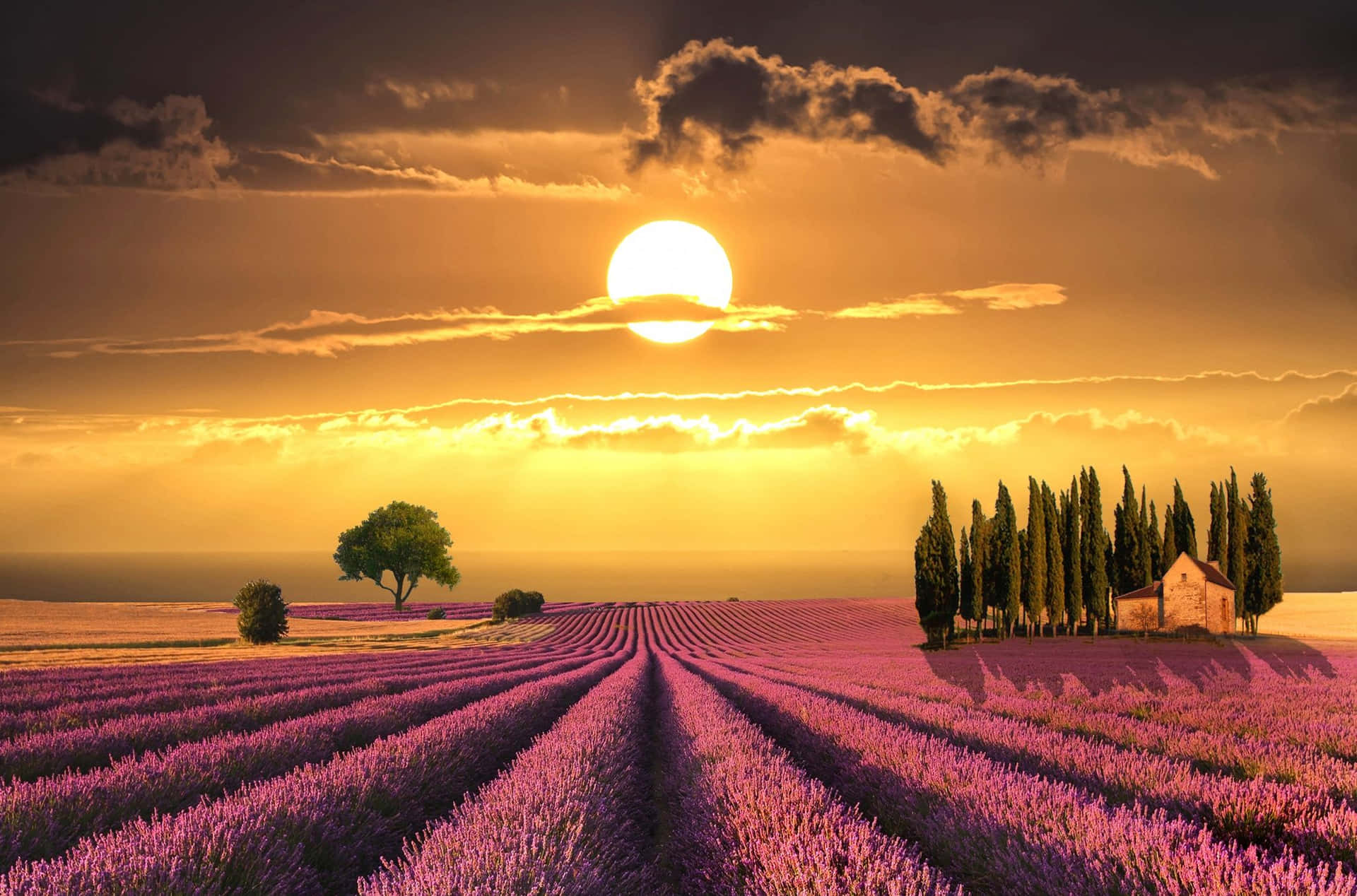 A Tranquil Spring Sunset in the Countryside Wallpaper